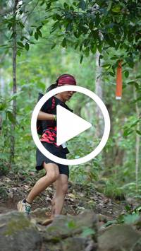 BIB:  <button type="button" onclick="openModal(27632416)" class="btn btn-primary btn-sm float-right" data-toggle="modal" data-target=".modal-high-quality">
                <i class="fa fa-download"></i> Download
                </button>